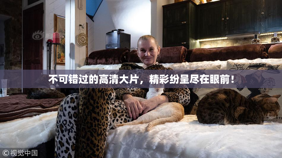 不可错过的高清大片，精彩纷呈尽在眼前！
