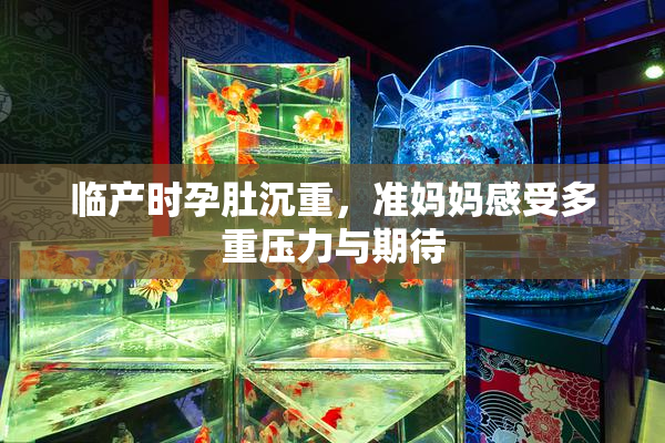 临产时孕肚沉重，准妈妈感受多重压力与期待