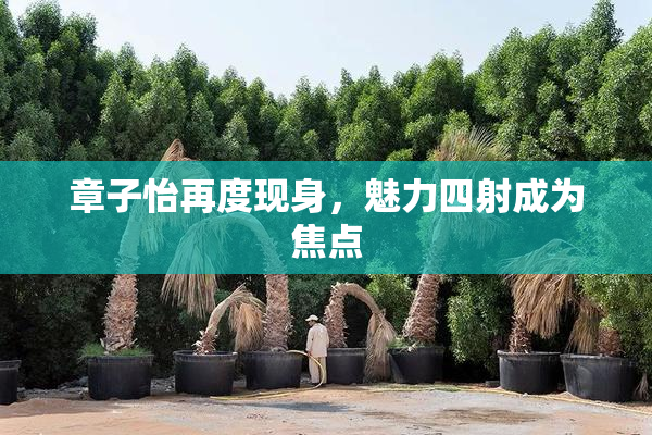 章子怡再度现身，魅力四射成为焦点