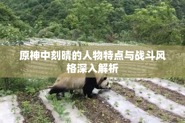 原神中刻晴的人物特点与战斗风格深入解析
