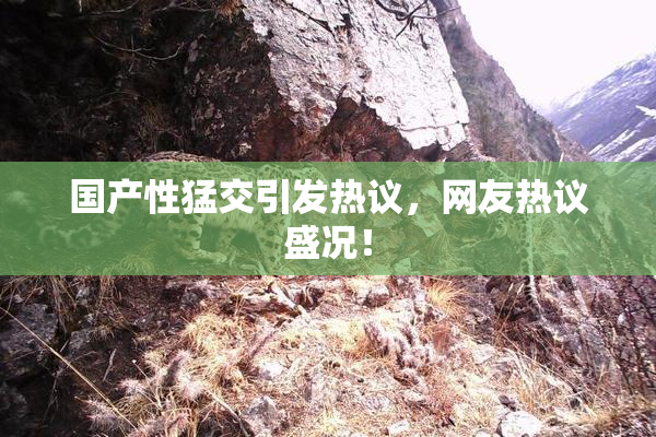 国产性猛交引发热议，网友热议盛况！