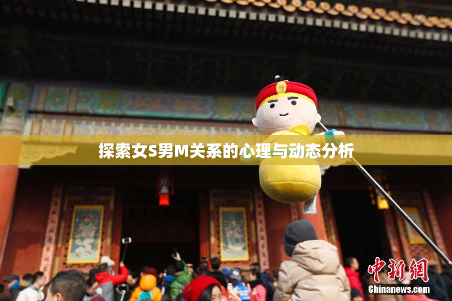 探索女S男M关系的心理与动态分析