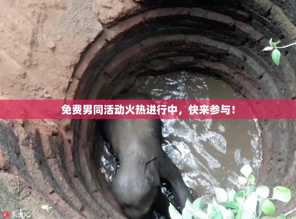 免费男同活动火热进行中，快来参与！