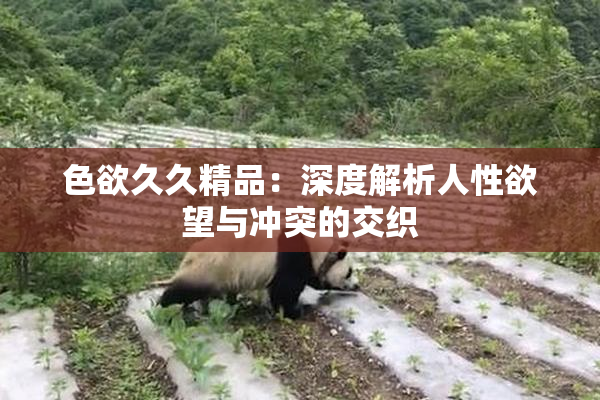 色欲久久精品：深度解析人性欲望与冲突的交织