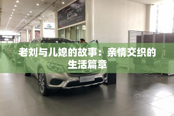 老刘与儿媳的故事：亲情交织的生活篇章