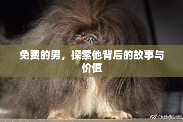 免费的男，探索他背后的故事与价值