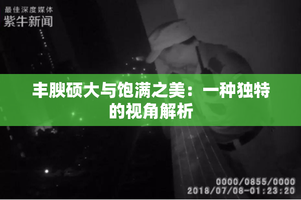 丰腴硕大与饱满之美：一种独特的视角解析