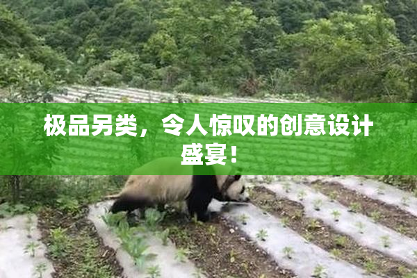 极品另类，令人惊叹的创意设计盛宴！