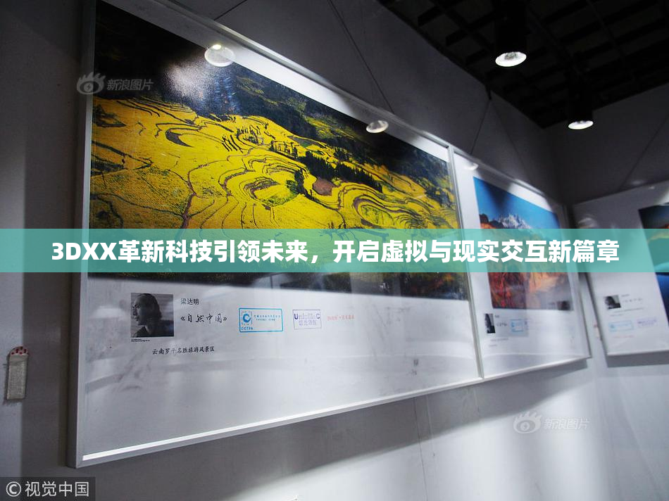 3DXX革新科技引领未来，开启虚拟与现实交互新篇章