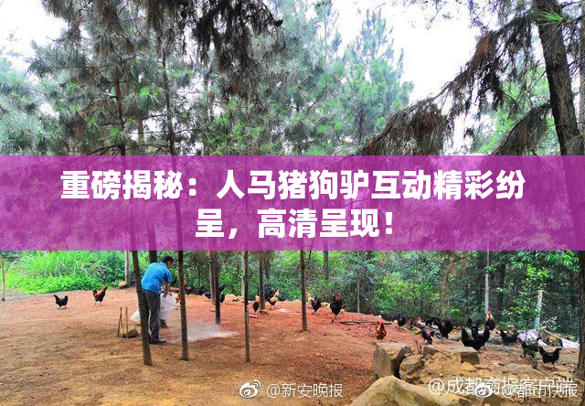 重磅揭秘：人马猪狗驴互动精彩纷呈，高清呈现！