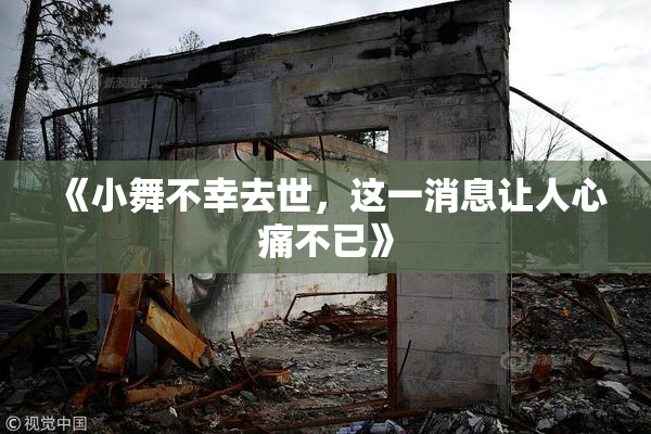 《小舞不幸去世，这一消息让人心痛不已》