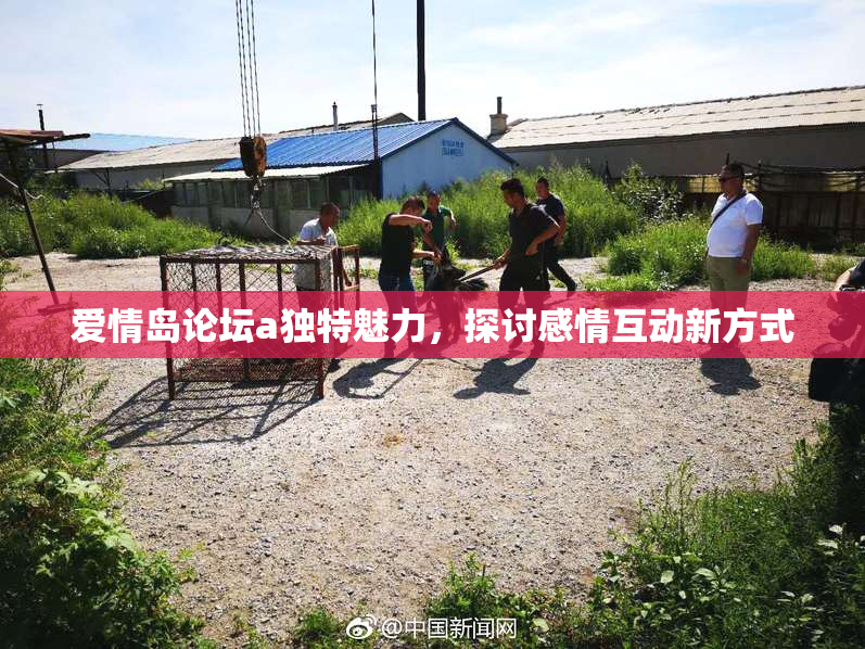 爱情岛论坛a独特魅力，探讨感情互动新方式