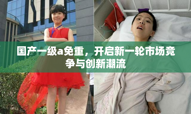 国产一级a免重，开启新一轮市场竞争与创新潮流