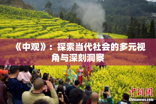 《中观》：探索当代社会的多元视角与深刻洞察
