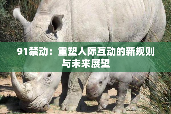 91禁动：重塑人际互动的新规则与未来展望