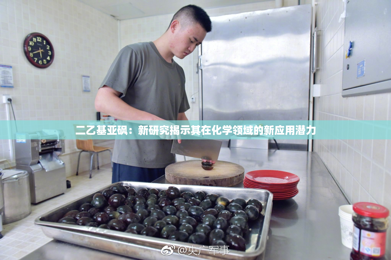 二乙基亚砜：新研究揭示其在化学领域的新应用潜力