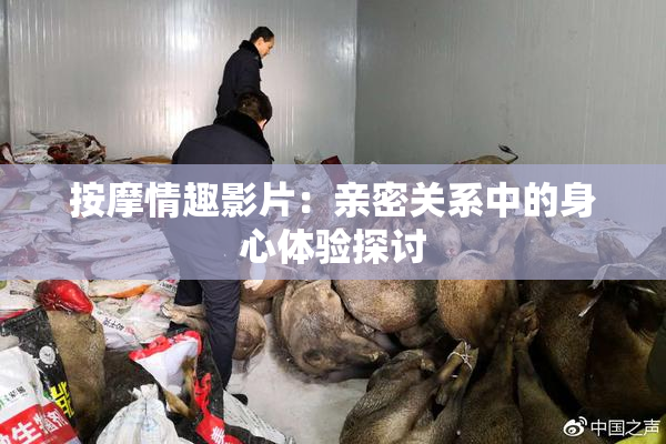 按摩情趣影片：亲密关系中的身心体验探讨