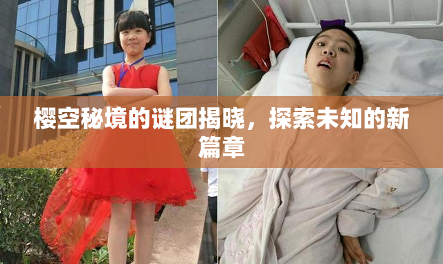 樱空秘境的谜团揭晓，探索未知的新篇章
