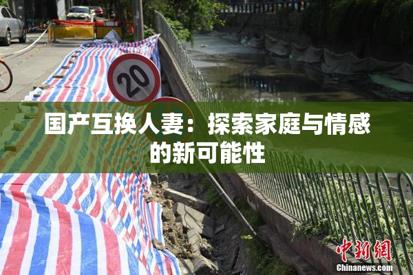 国产互换人妻：探索家庭与情感的新可能性
