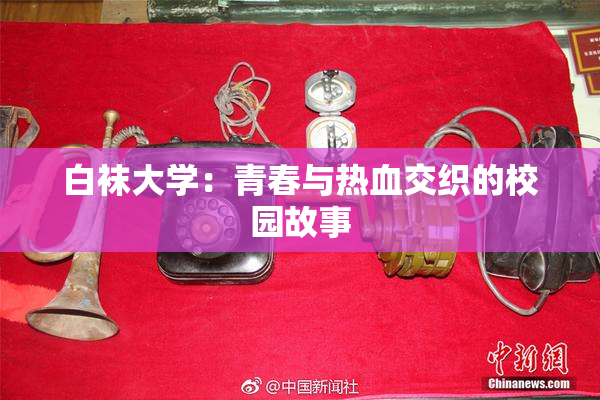 白袜大学：青春与热血交织的校园故事