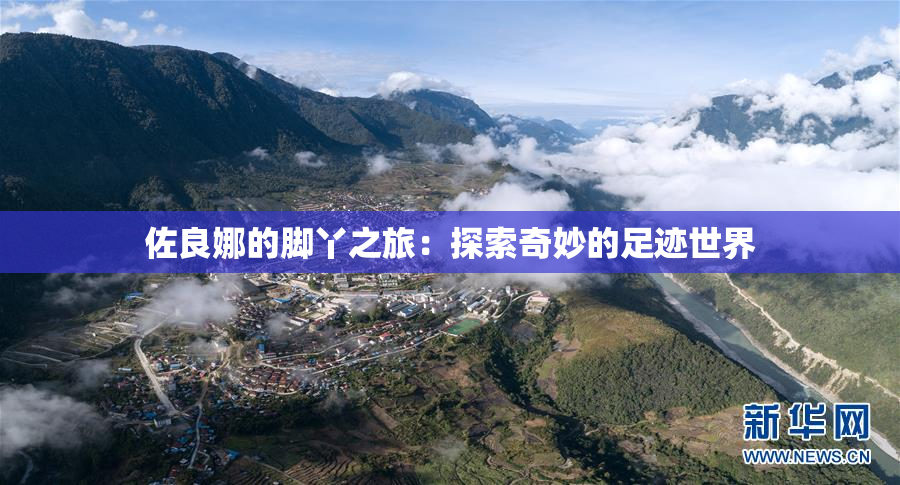 佐良娜的脚丫之旅：探索奇妙的足迹世界
