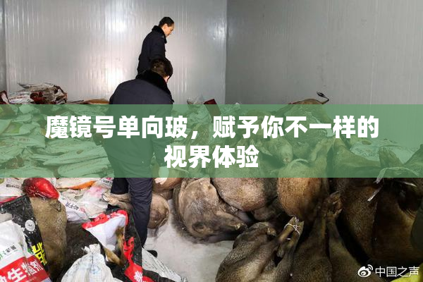 魔镜号单向玻，赋予你不一样的视界体验