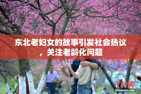 东北老妇女的故事引发社会热议，关注老龄化问题