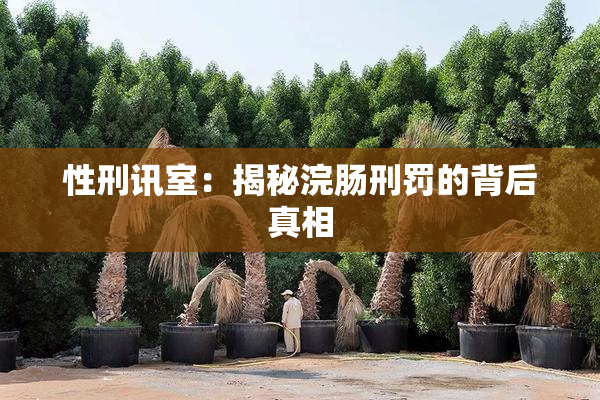 性刑讯室：揭秘浣肠刑罚的背后真相