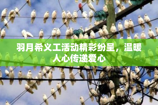 羽月希义工活动精彩纷呈，温暖人心传递爱心