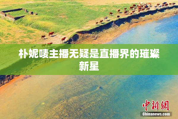 朴妮唛主播无疑是直播界的璀璨新星