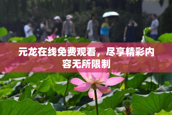 元龙在线免费观看，尽享精彩内容无所限制