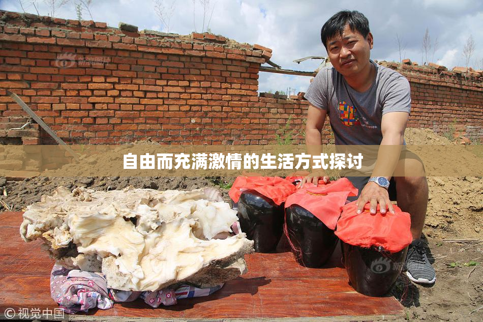 自由而充满激情的生活方式探讨