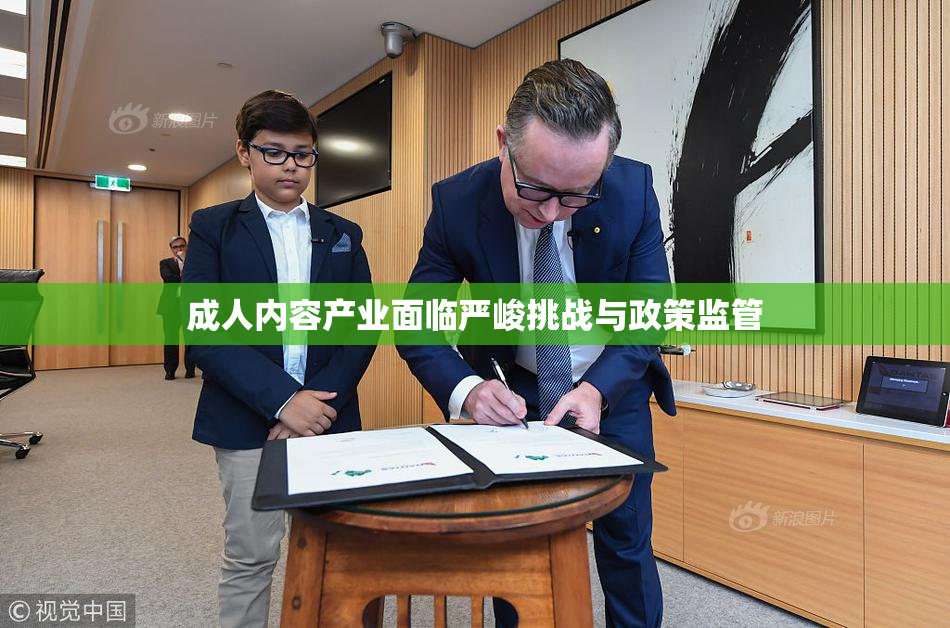 成人内容产业面临严峻挑战与政策监管