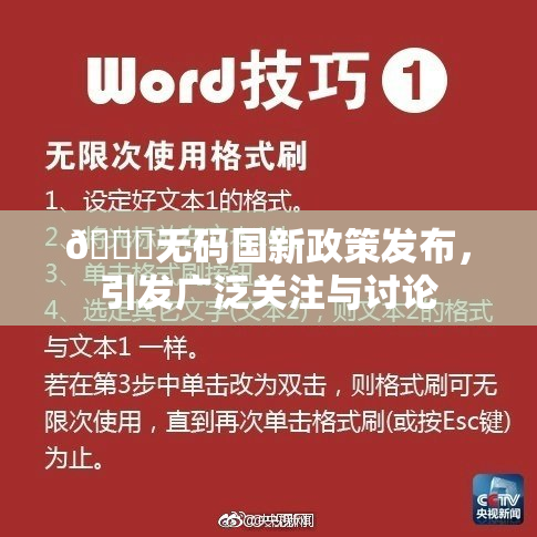 🔞无码国新政策发布，引发广泛关注与讨论