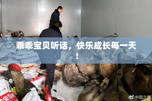 乖乖宝贝听话，快乐成长每一天！