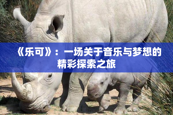 《乐可》：一场关于音乐与梦想的精彩探索之旅
