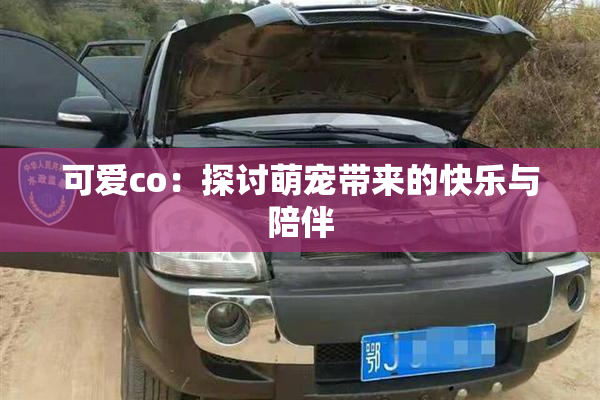 可爱co：探讨萌宠带来的快乐与陪伴