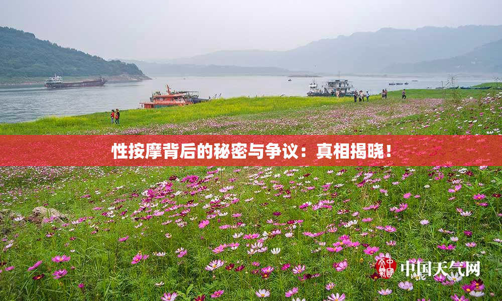 性按摩背后的秘密与争议：真相揭晓！