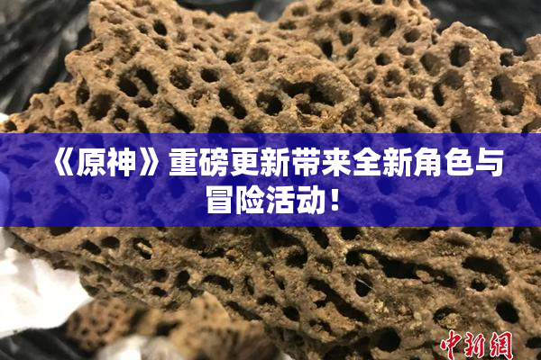 《原神》重磅更新带来全新角色与冒险活动！
