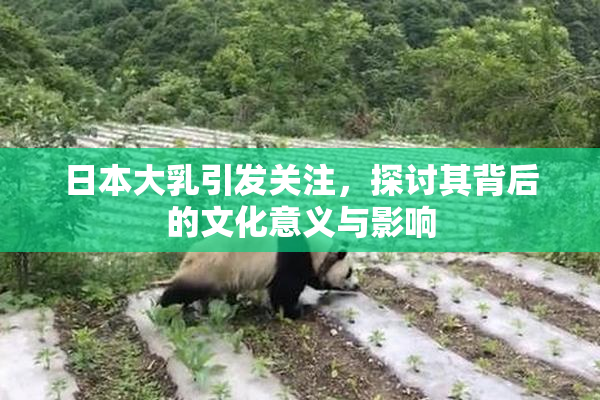 日本大乳引发关注，探讨其背后的文化意义与影响