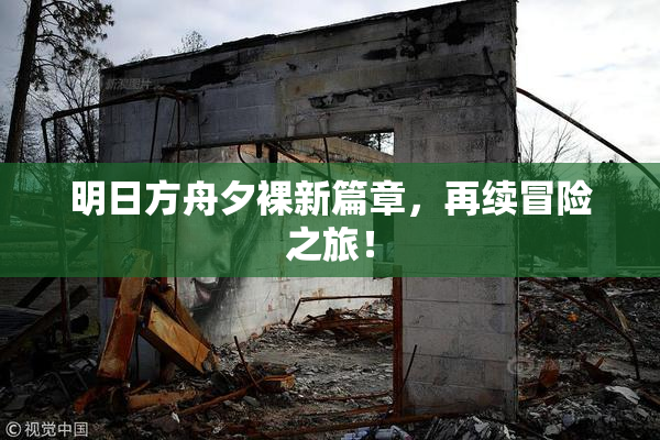 明日方舟夕裸新篇章，再续冒险之旅！