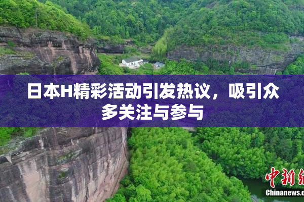 日本H精彩活动引发热议，吸引众多关注与参与