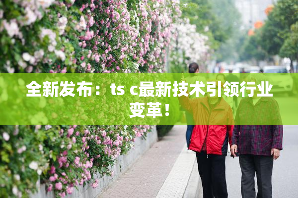 全新发布：ts c最新技术引领行业变革！