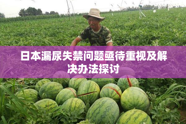 日本漏尿失禁问题亟待重视及解决办法探讨