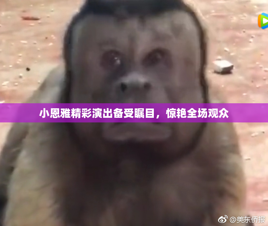 小恩雅精彩演出备受瞩目，惊艳全场观众