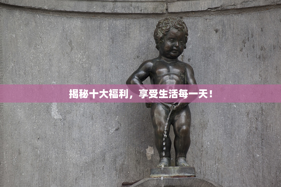 揭秘十大福利，享受生活每一天！