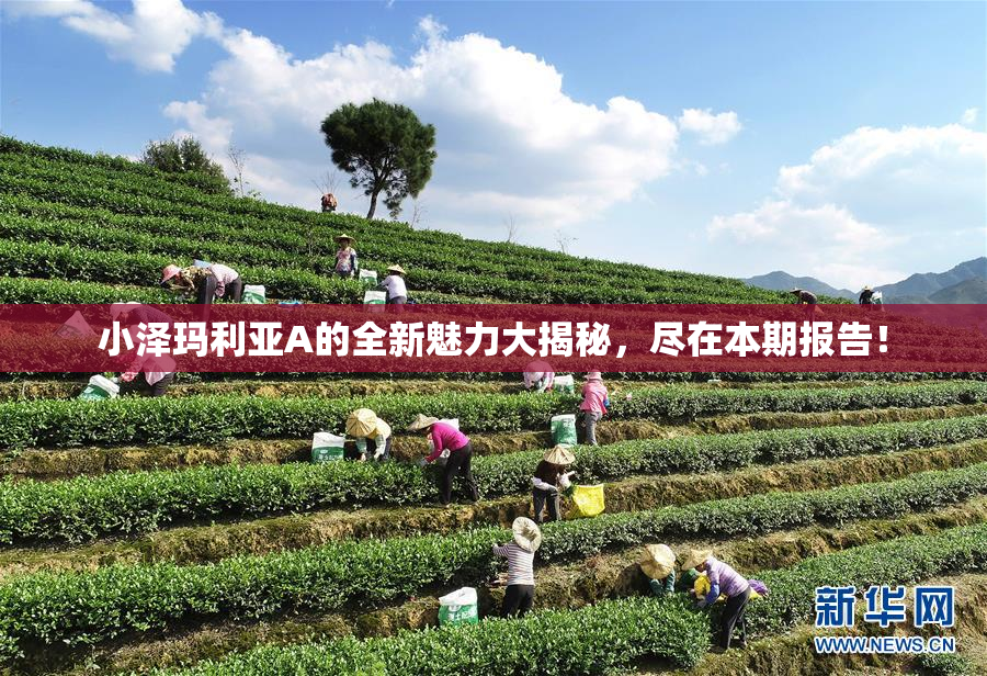 小泽玛利亚A的全新魅力大揭秘，尽在本期报告！