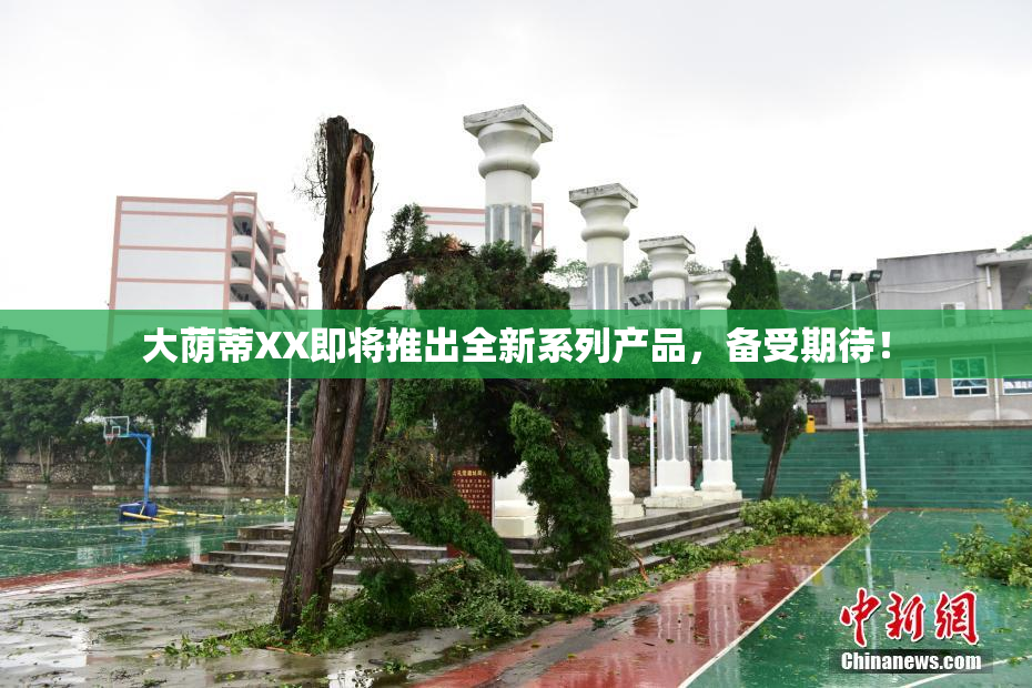 大荫蒂XX即将推出全新系列产品，备受期待！