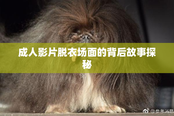 成人影片脱衣场面的背后故事探秘
