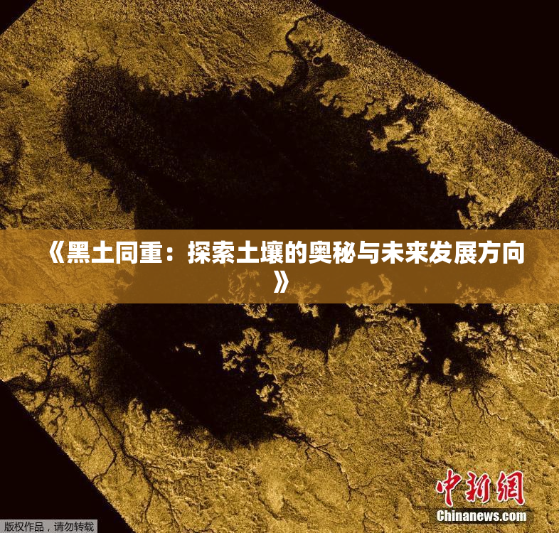 《黑土同重：探索土壤的奥秘与未来发展方向》